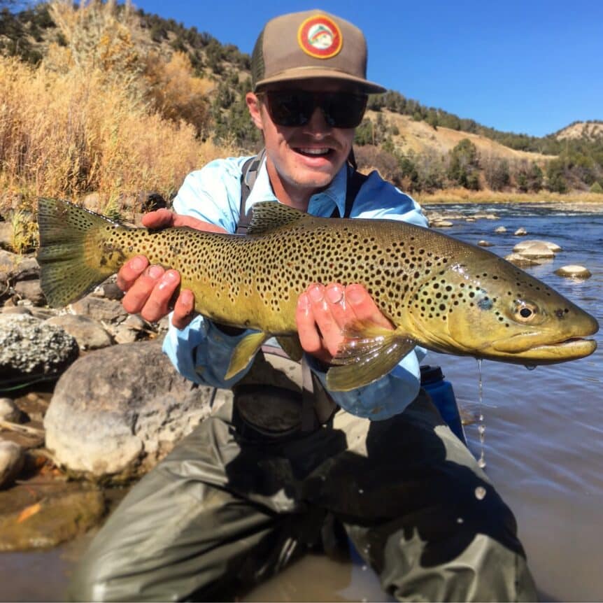 Animas River Brown Trout