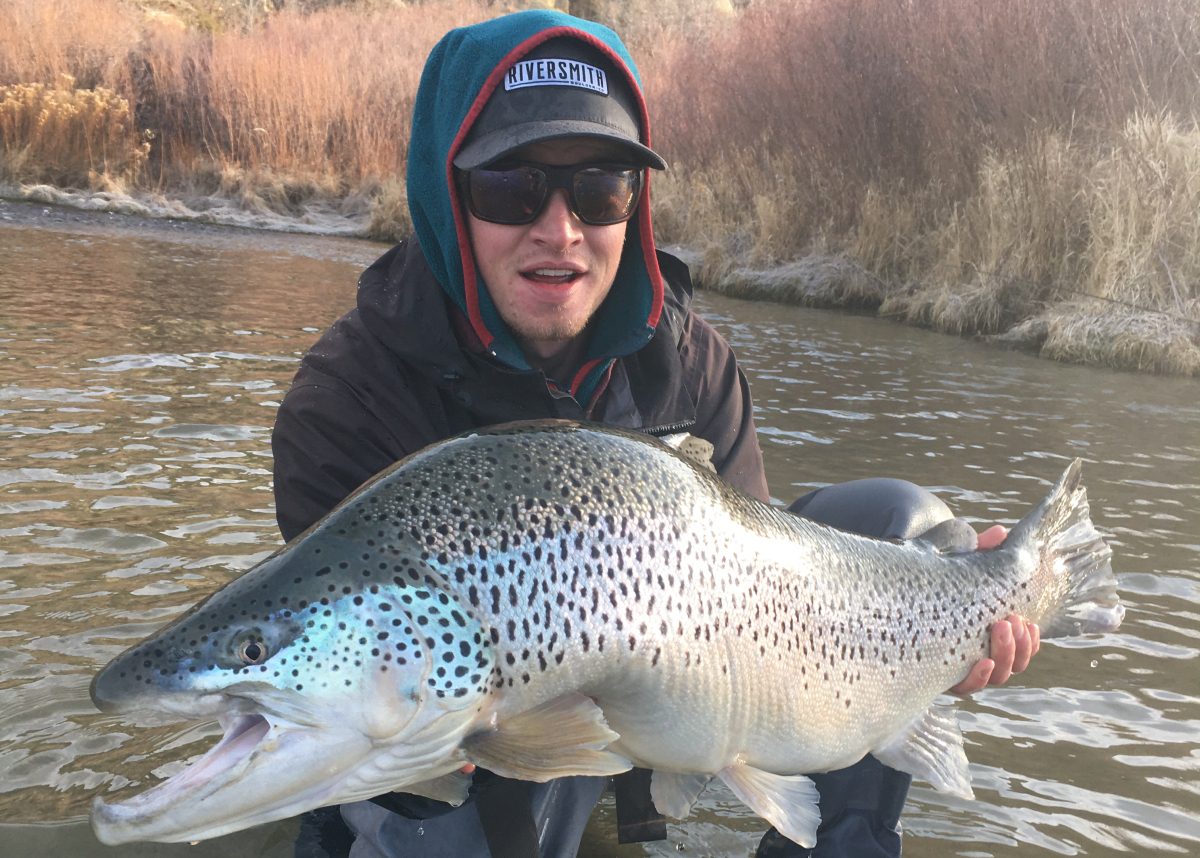 San Juan River Fly Fishing Guides